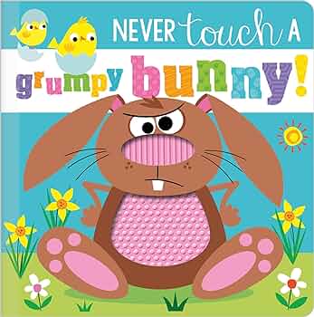 Sensory Books: Never Touch (sold individually)