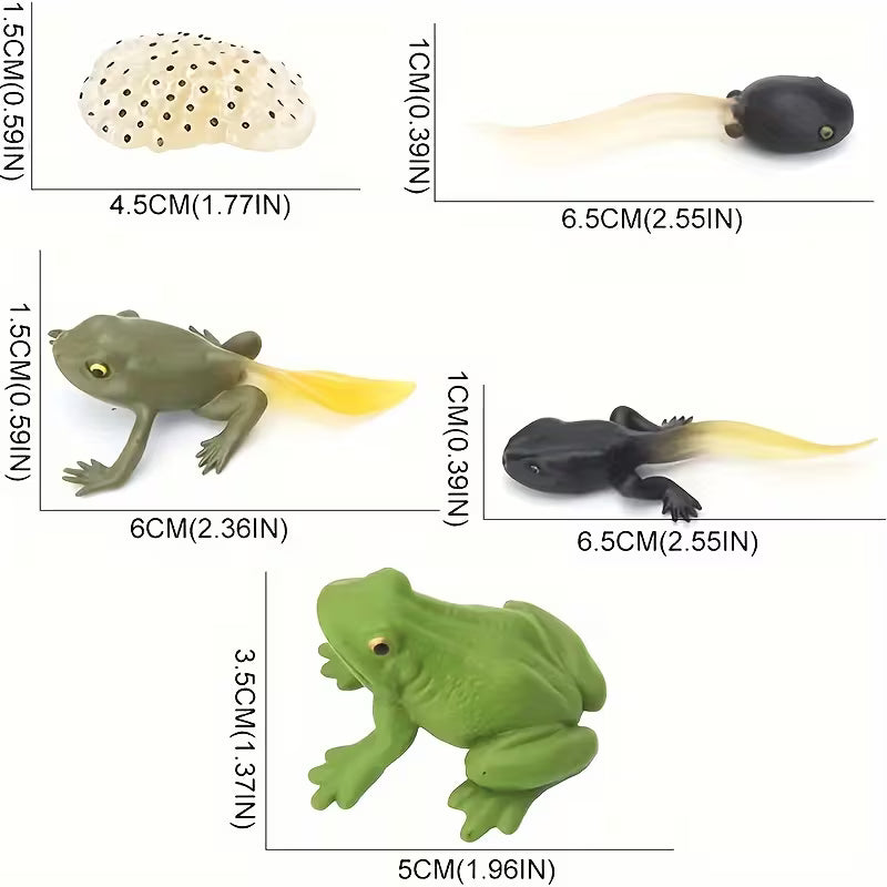 Life Cycle Sets - Various