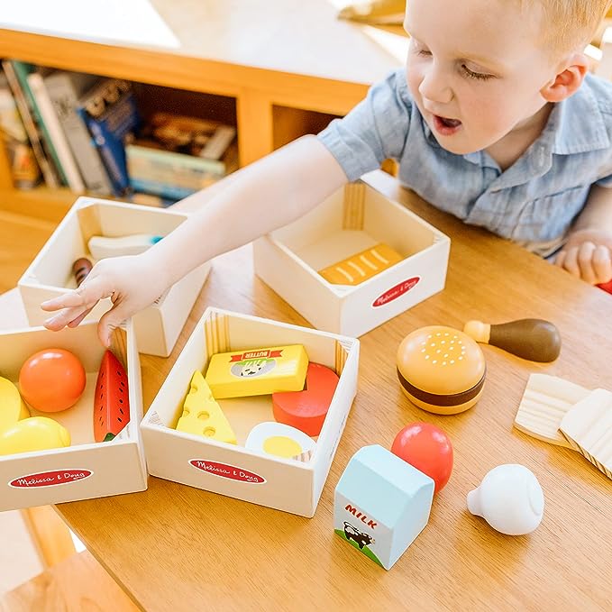 Melissa & Doug Food Groups Set