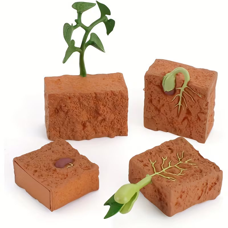 Life Cycle Sets - Various