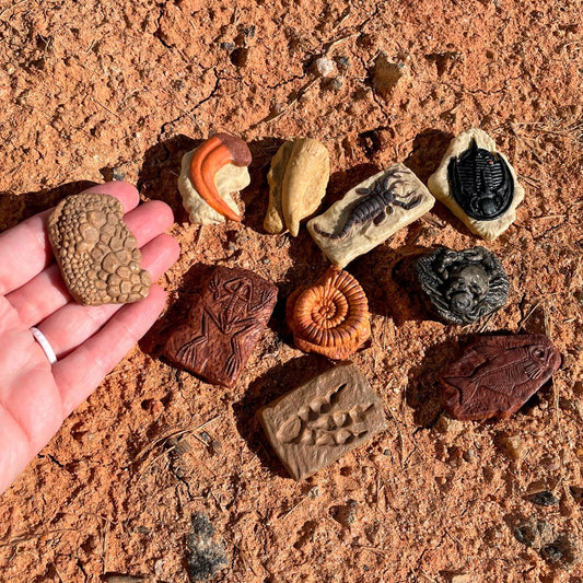 Safari LTD Ancient Fossils