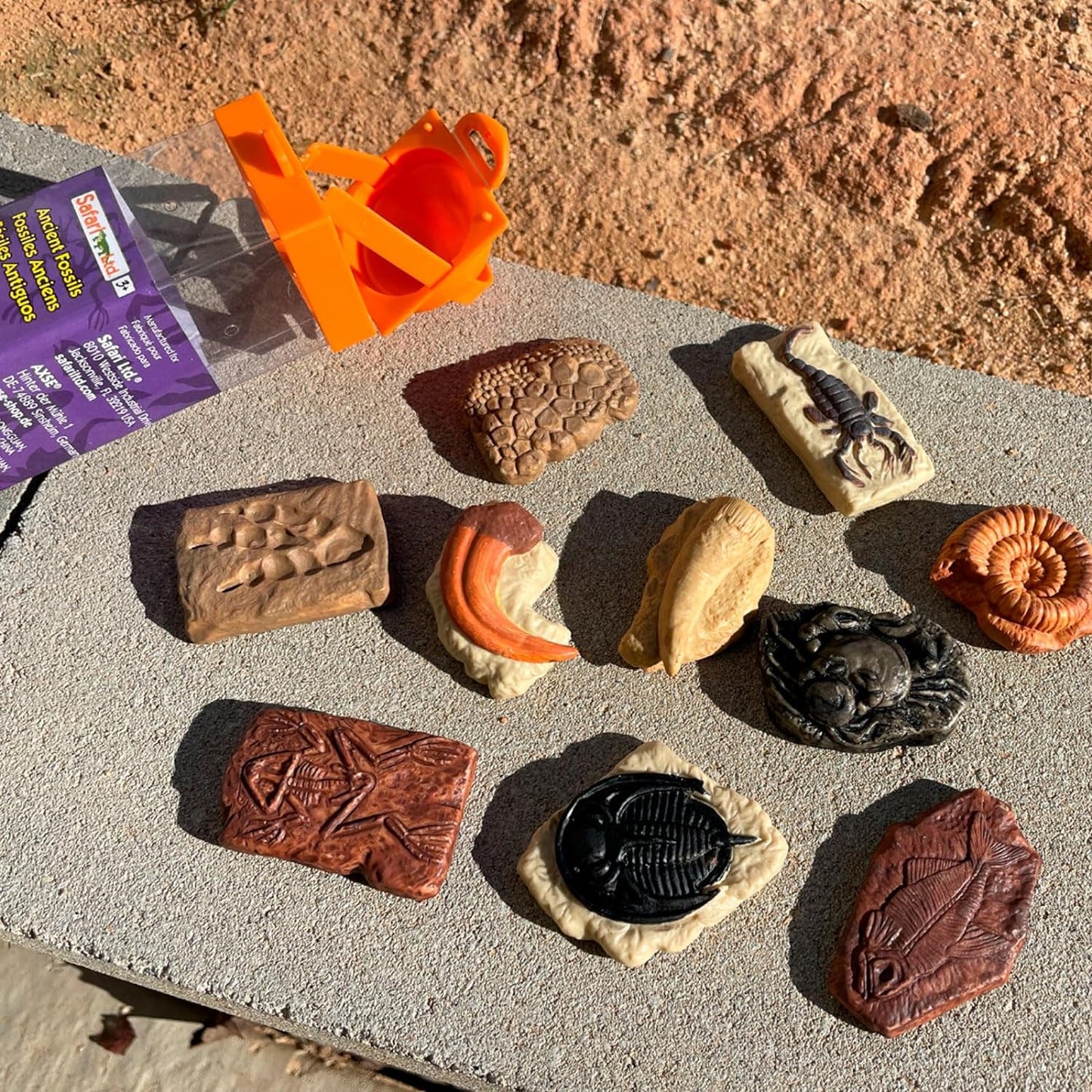 Safari LTD Ancient Fossils