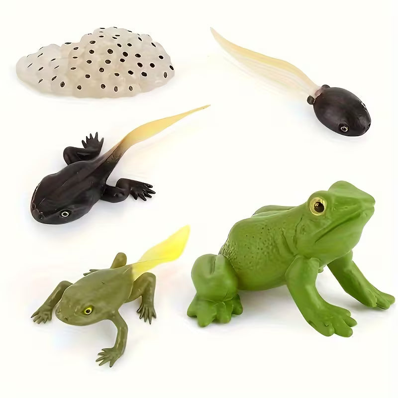 Life Cycle Sets - Various