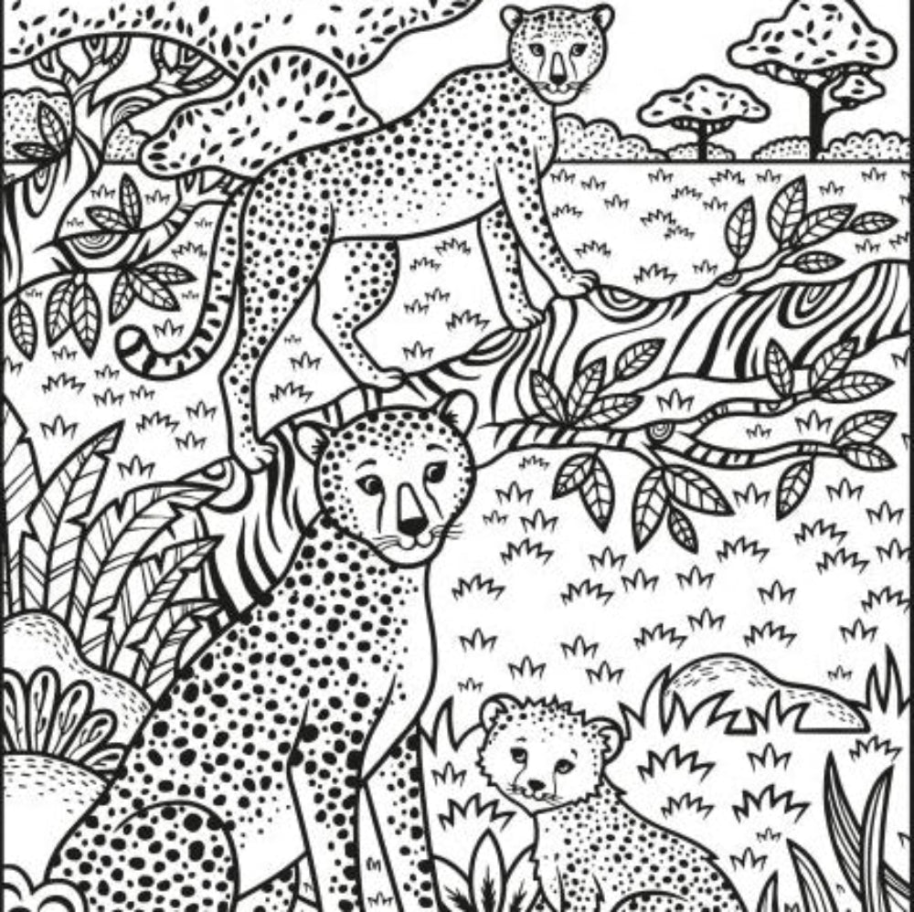Usborne Animals Magic Painting Book
