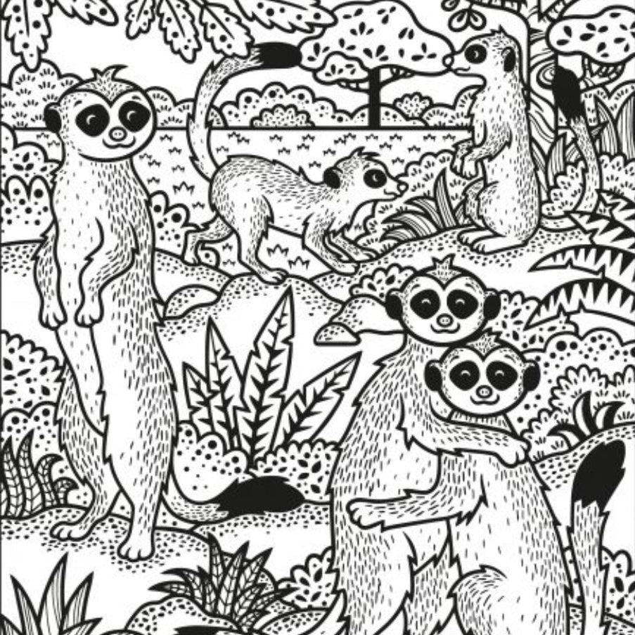 Usborne Animals Magic Painting Book