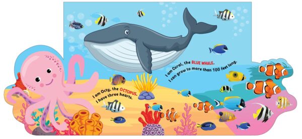 Dreamland Flap Books - Various Designs