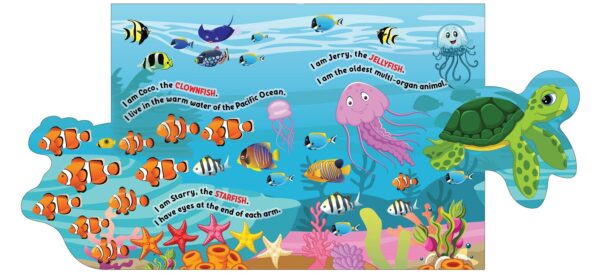 Dreamland Flap Books - Various Designs