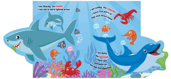Dreamland Flap Books - Various Designs