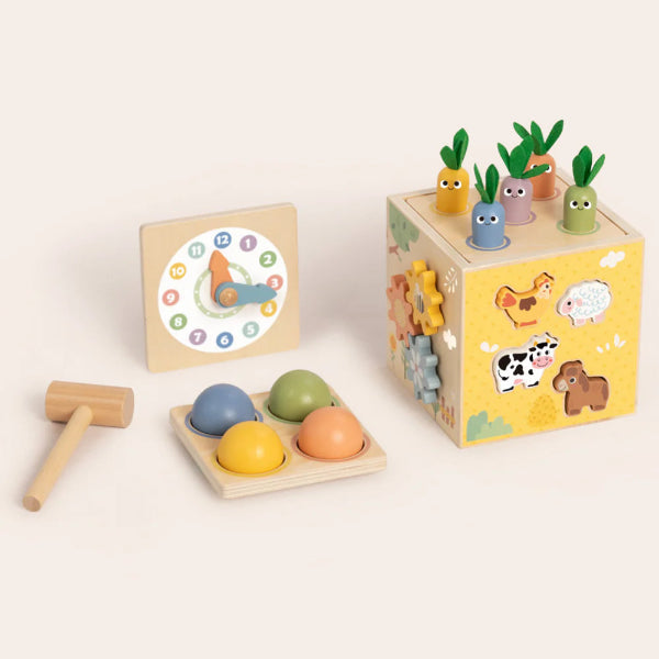 Tooky Toy Play Cube