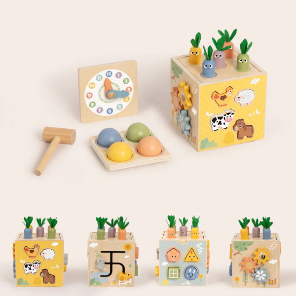 Tooky Toy Play Cube