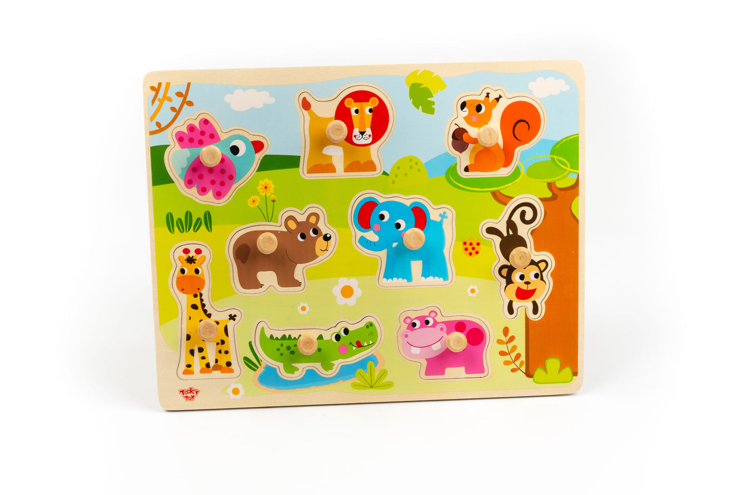 Tooky Toy Peg Puzzles