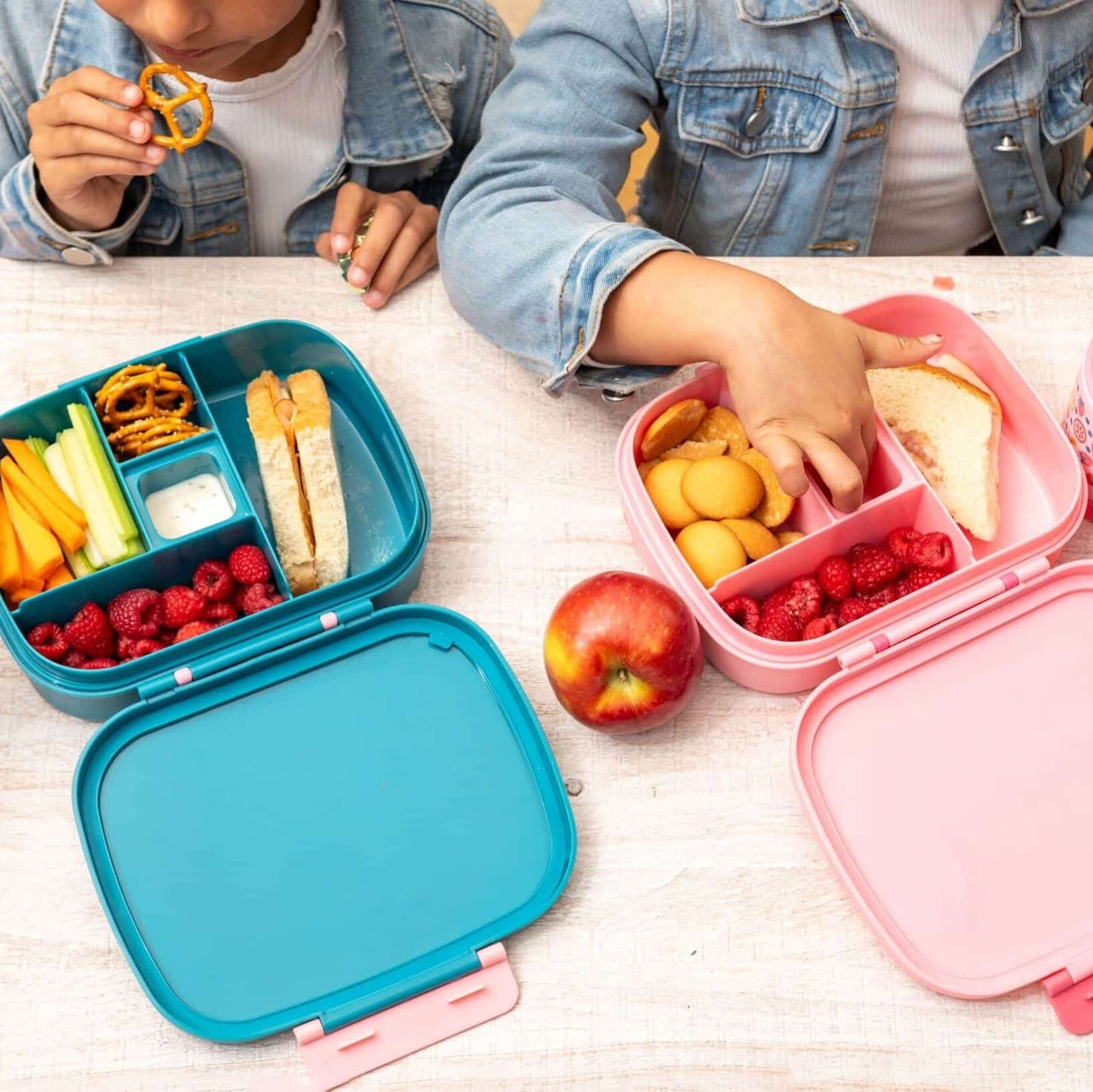 Stephen Joseph Bento Lunch Box With Removable Tray - Various Designs