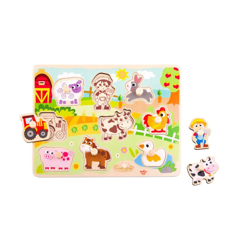 Tooky Toy Peg Puzzles