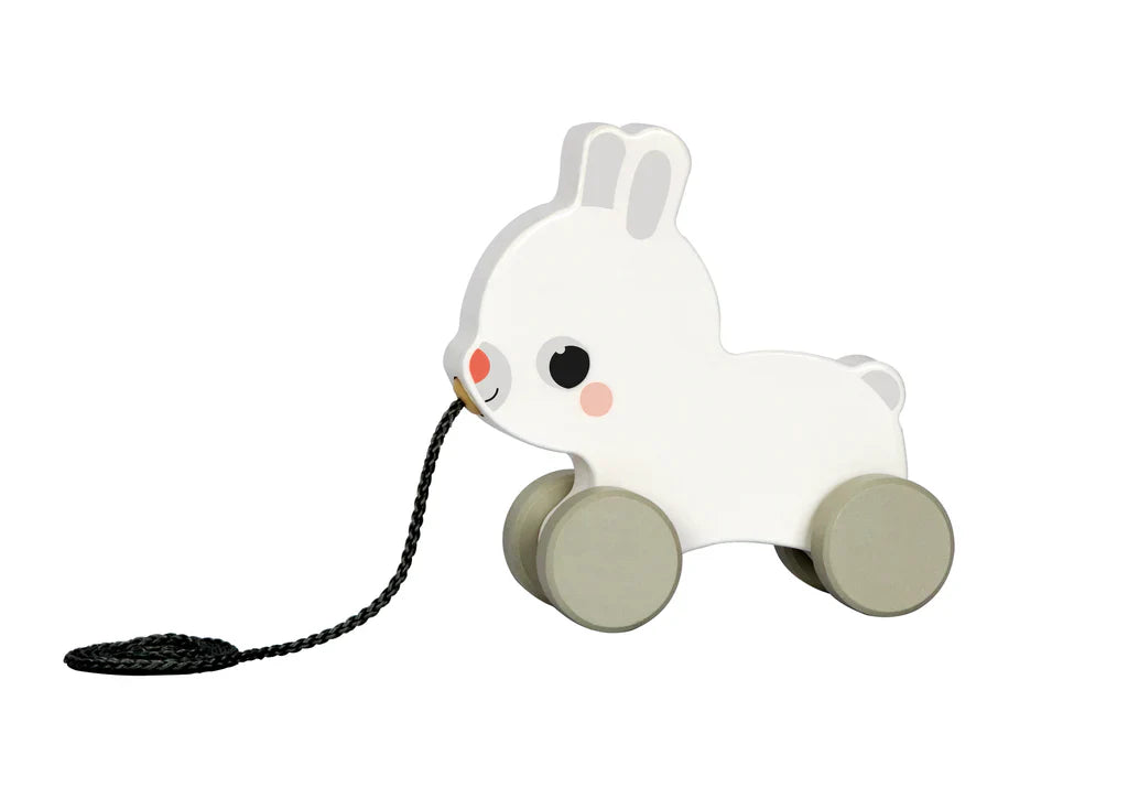 hi Pando Pull Along Animals - Various Designs