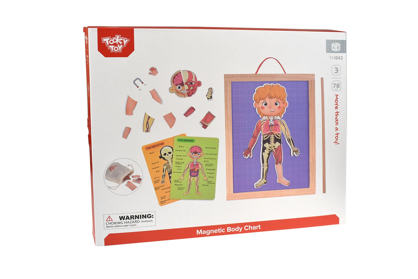 Tooky Toy Magnetic Body Chart