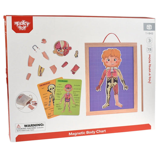 Tooky Toy Magnetic Body Chart