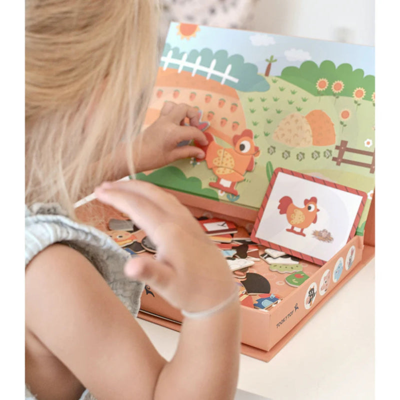 Tooky Toy Magnetic Box - Various Designs