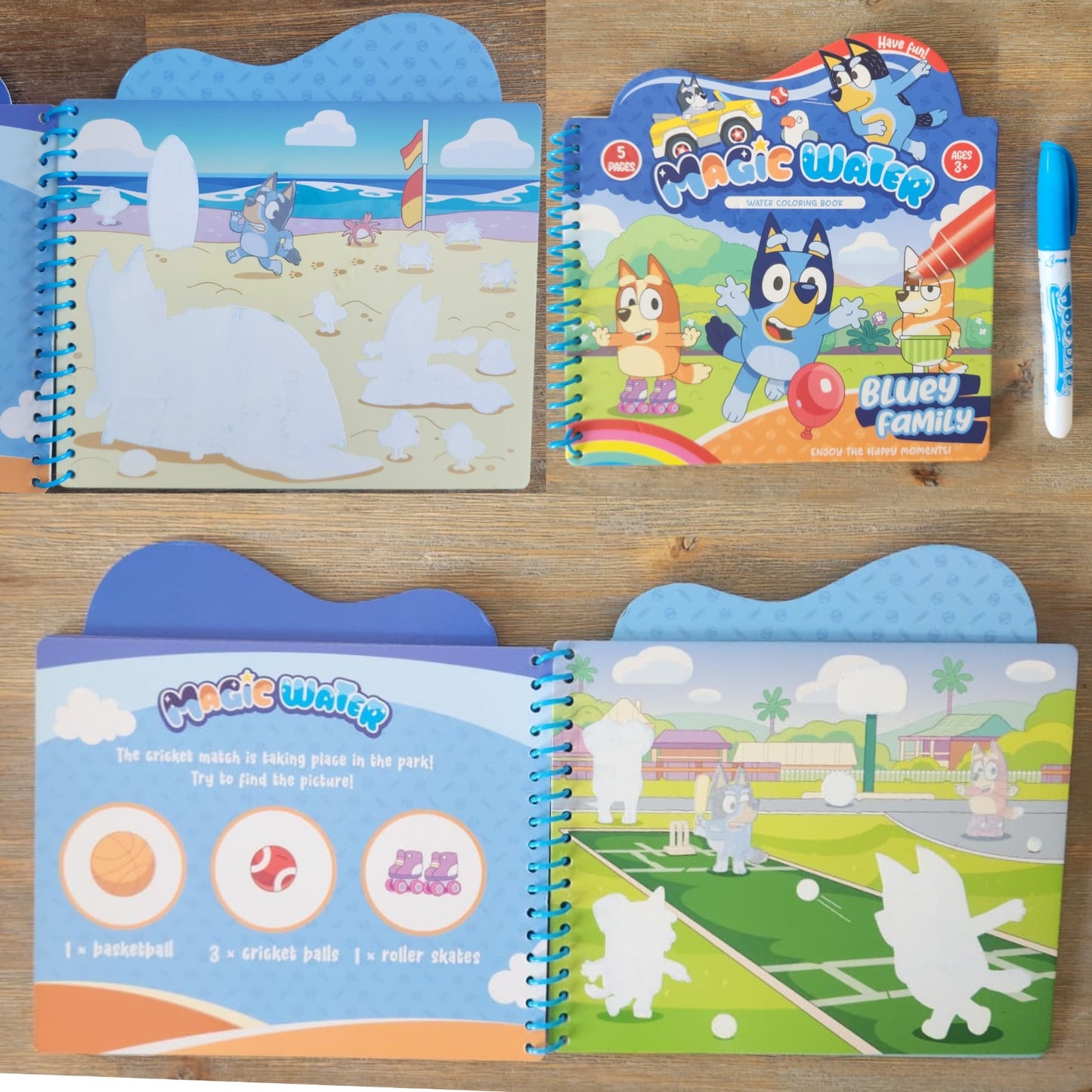 Bluey Magic Water Book