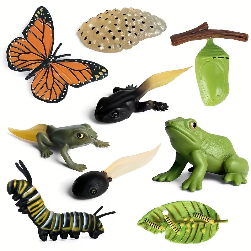 Life Cycle Sets - Various