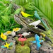 Safari LTD Toob Exotic Birds