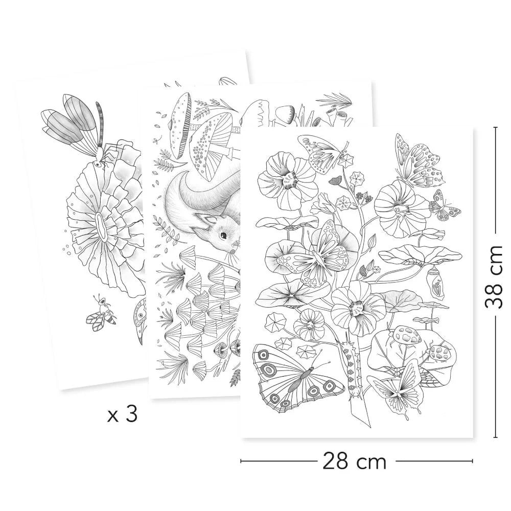 Djeco Colouring Gallery - Various Designs