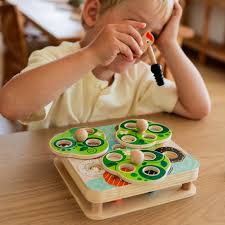 Tooky Toy Catch & Insect Game