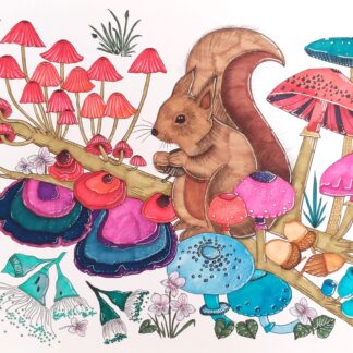 Djeco Colouring Gallery - Various Designs