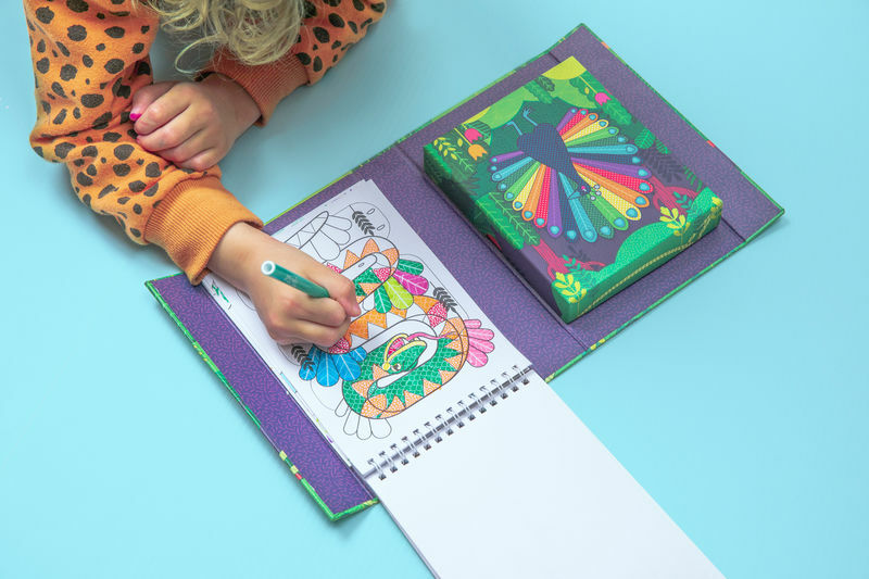 Tiger Tribe Colouring Set Hidden Pattern - Various Designs