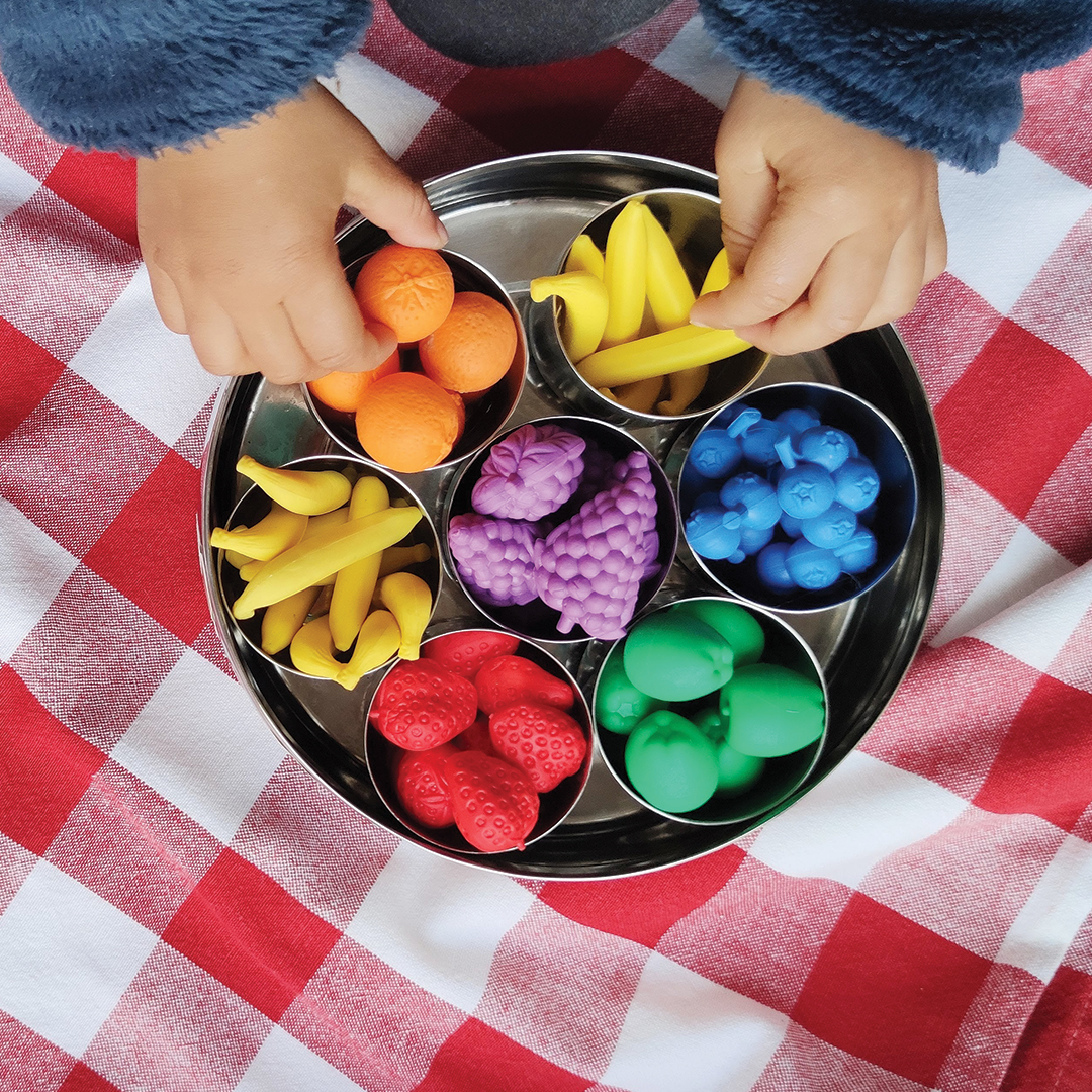 EDX Fruit Counters (48 pieces with tweezer)