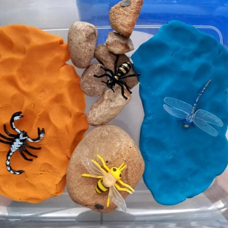 Insects: Set of 12